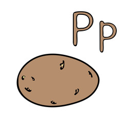 Learning letters letter P. Cartoon outline potato. Vector outline freehand drawing, sketch, vegetable, garden black lines, isolated white background, root vegetable. Visual material