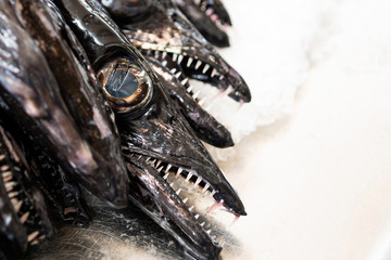 Fototapeta premium Fish market. A cut-off image of a black narrow fish with sharp teeth and large round eyes. The fish is lying on the ice. Copy space.