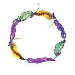 Hand drawn watercolor round pepper frame isolated on white background. A wreath of hot green, yellow and purple peppers.
