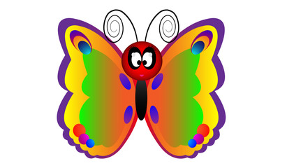 butterfly on white background