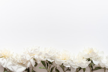 A line of fresh blooming white peonies with copy sparse on top. Horizontal flat lay.