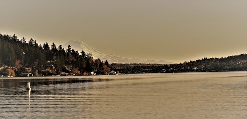 Obraz premium Mt Rainer, Seattle, Lake Washington, perspective