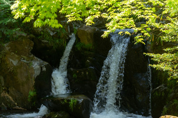 初夏の渓流と滝