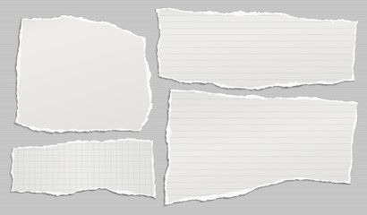 Torn of white lined, math note, notebook paper strips, pieces stuck on grey lined background. Vector illustration