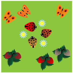 butterfly ladybug and wild strawberry on a green background