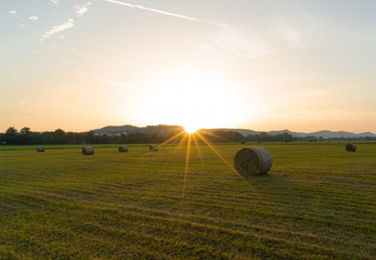 irrigation of field