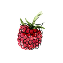 Watercolor logo of raspberry. Hand drawn bright illustration isolated on white background.