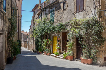 Fototapeta na wymiar The historic center of Pitigliano