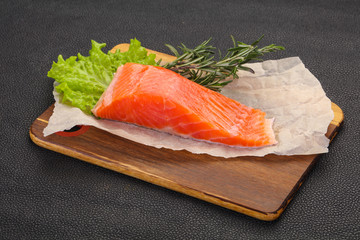 Piece of raw salmon