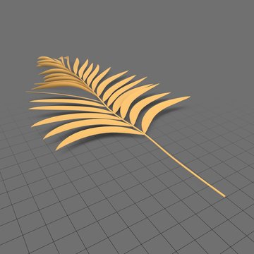 Narrow palm leaf