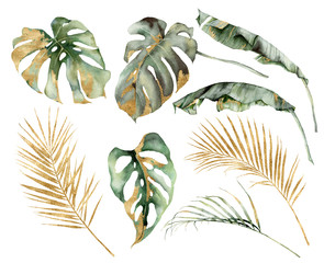 Watercolor tropical set with banana, palm and monstera golden leaves. Hand painted branches and twigs isolated on white background. Floral jungle illustration for design, print or background. © yuliya_derbisheva