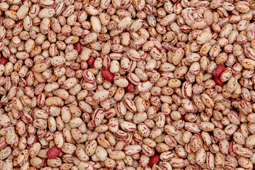 legumes with many borlotto beans impossible to count exactly