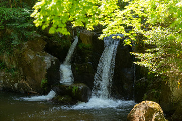 初夏の渓流と滝
