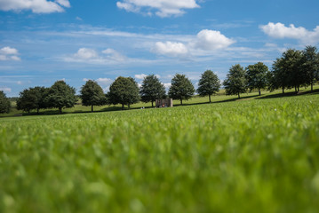 Fototapeta na wymiar miniature view of a british park