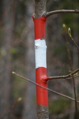 Kleiner Wegweiser am Wildbarren