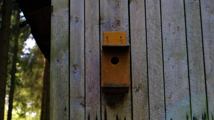 
Bird feeder hanging on the wall of boards