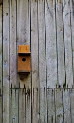 
Bird feeder hanging on the wall of boards