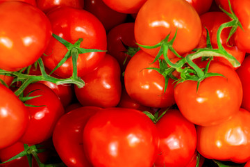Lots of red fresh tomatoes