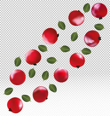 Set of red currant. Freshly picked red currant with green leaf. Useful ripe fresh red currant berry rich in vitamins. Organic product. 3d realistic vector illustration.
