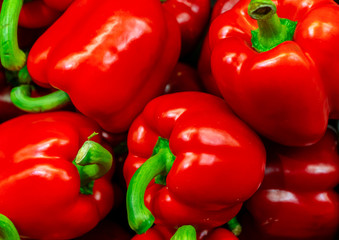 Lots of red fresh Pepper