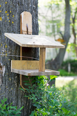 Feeders for birds in the city park