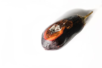 Overripe eggplant with mold. A spoiled vegetable. The concept of Ugly products. Copy space