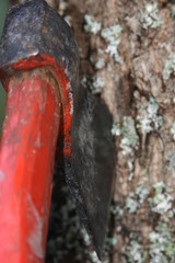 old axe on tree trunk