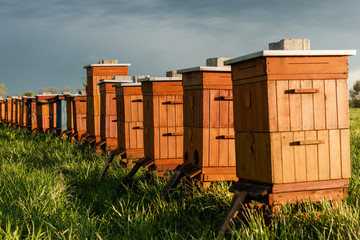 Traditional Wooden Beehives in Fields. Beekeeping and Honey Production. Organic Food Farming
