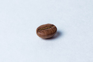 One coffee bean on a white background