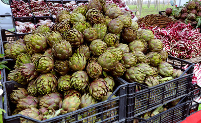 crates full of ripe large artichokes in the fruit and vegetable
