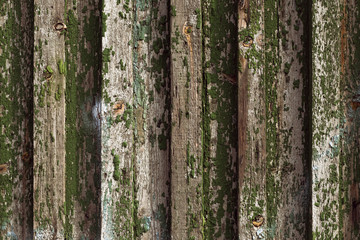Wooden fence, wood texture with knots, peeling paint, old flaky desk. Natural board background.