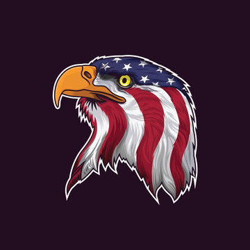 american eagle head with USA flag