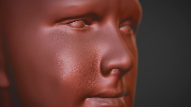 Head Sculpting. Face Skin detail painting 3D computer generted graphics. High resolution polygons CGI Animation. Isolated close-up. - Powered by Adobe