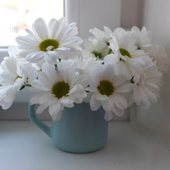 white chrysanthemums in a cup on the window, good morning concept, selective focus.