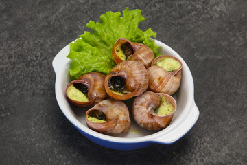 French cuisine - Escargot with sauce