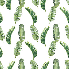 Pattern with beautiful watercolor tropical leaves. Tropics. Realistic tropical leaves. - 348990327