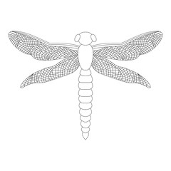 Black dragonfly in trendy style on white background. Beauty concept. Design element. Vector abstract dragonfly on white background. Isolated vector illustration. Insect illustration in abstract style