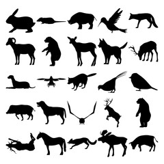 Set of 25 animals. Rabbit, Rat, Rhino, Colibri, Goat, Elk, Dog, Falcon, Raccoon, Pheasant, Sparrow, Boar, Labrador, Crow, Bear, Deer, Horse, Fox, Moose, Cow.