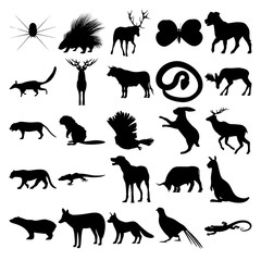 Set of 25 animals. Spider, Porcupine, Butterfly, Numbat, Deer, Snake, Moose, Tiger, Beaver, Owl, Rabbit, Jaguar, Gecko, Dog, Bull, Kangaroo, Polar bear, Jackal, Fox, Pheasant, Lizard.