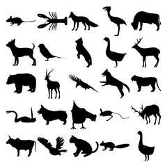 Set of 25 animals. Mouse, Lobster, Fox, Buffalo, Chihuahua, Bird, Panda, Gazelle, Crow, Dog, Bengal Tiger, Rattlesnake, Corgi, Chicken, Jerboa, Deer, Bull, Owl, Cat, Squirrel, Goose.