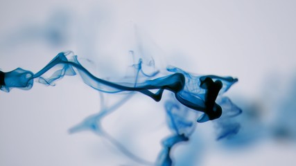 Isolated Blue Ink Cloud floating in clear water. Macro Shot on White Background with selective focus framed for vertical video