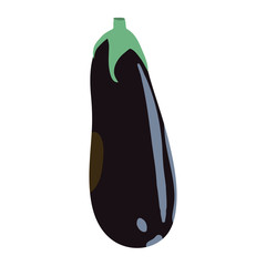 Rip eggplant isoleted vector icon on white color background. Popular vegitable.  Vegetarian Food. Can be used for T-shirts, aprons, fabrics, wripping, logos, banners, flyers, stickers, posters.