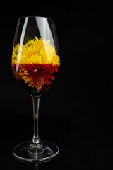 red wine from dandelions in a glass on a black background