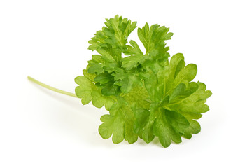Fresh organic parsley, isolated on white background