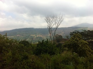 Clouds over the mountains