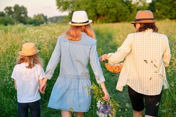Woman with two daughters walking in meadow with basket, back view