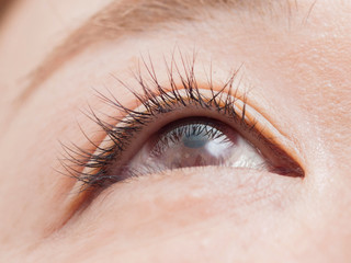 Fototapeta premium まつげ エクステ パーマ