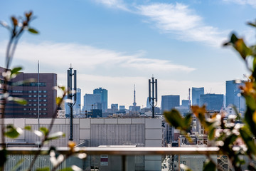 ビルのテラスから見た東京の景色　東京スカイツリー