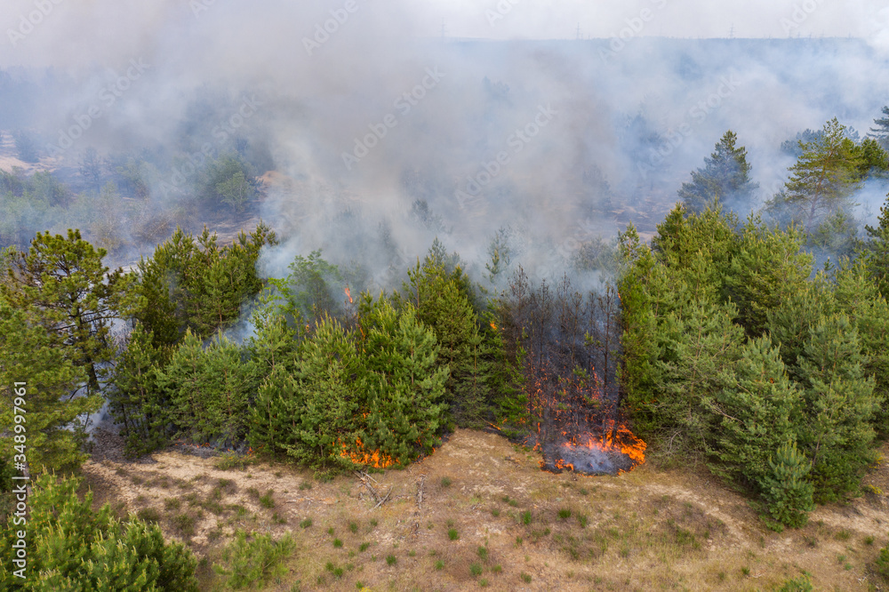 Wall mural Aerial drone view of a wildfire in forested area