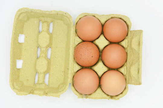 uova scatola uova gallina biologiche 